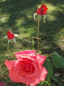 ??????????????????????