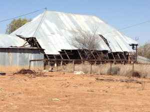 Shearing Shed at Colwell Station