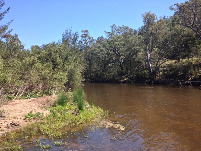 Gwydir River, Bingara IMG_0631