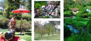 Cowra Japanese Garden