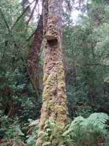 ??????????????????????