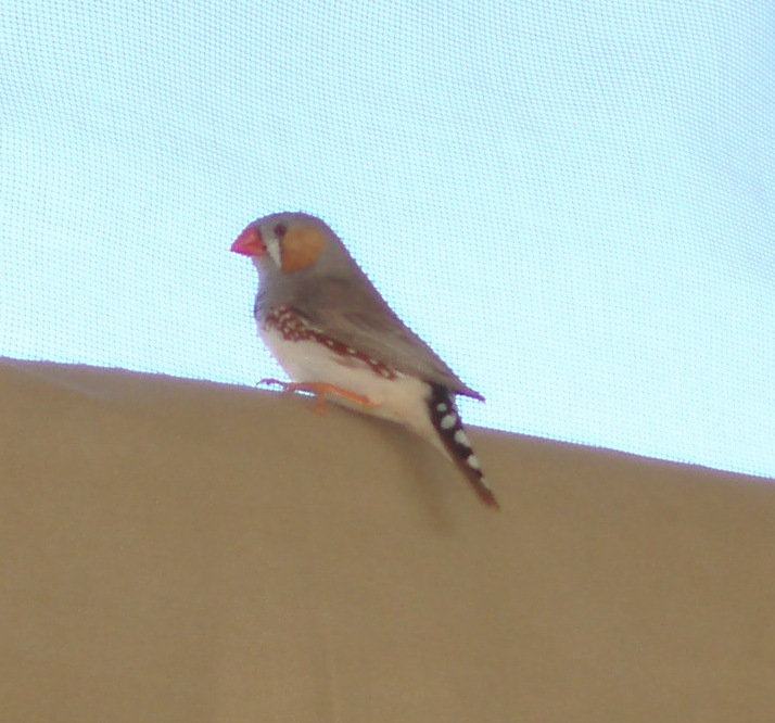 ???????????????????????????????