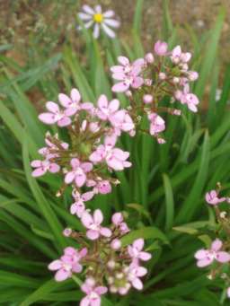 ??????????????????????