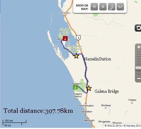 Kalbarri to Monkey Mia