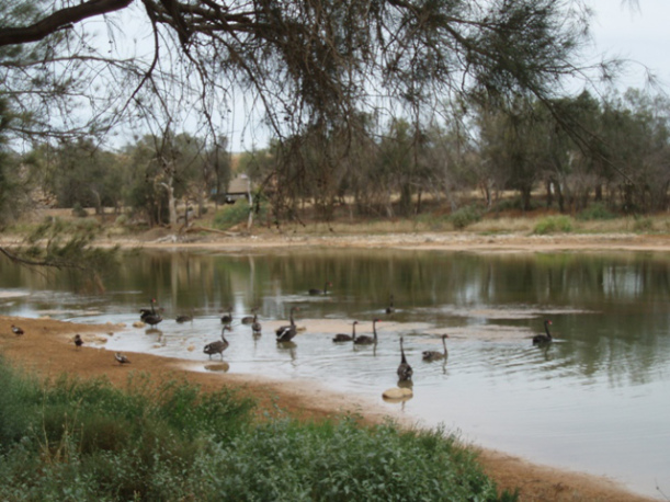 Galena Bridge Kalbarri