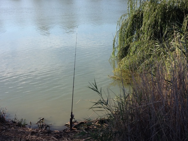 Walker Flat Boat Ramp Reserve, South Australia