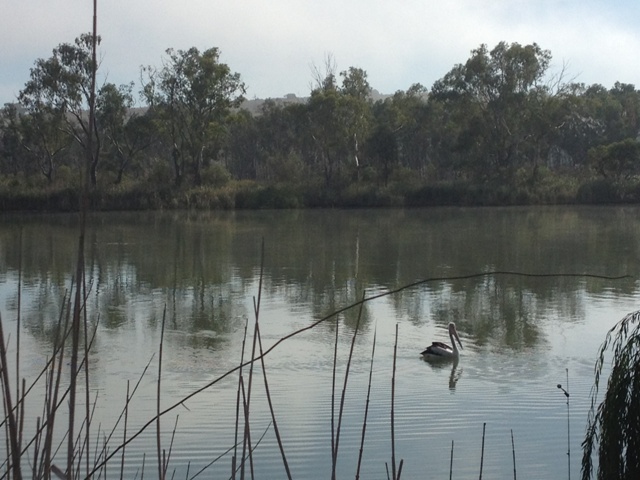 Walker Flat Boat Ramp Reserve, South Australia