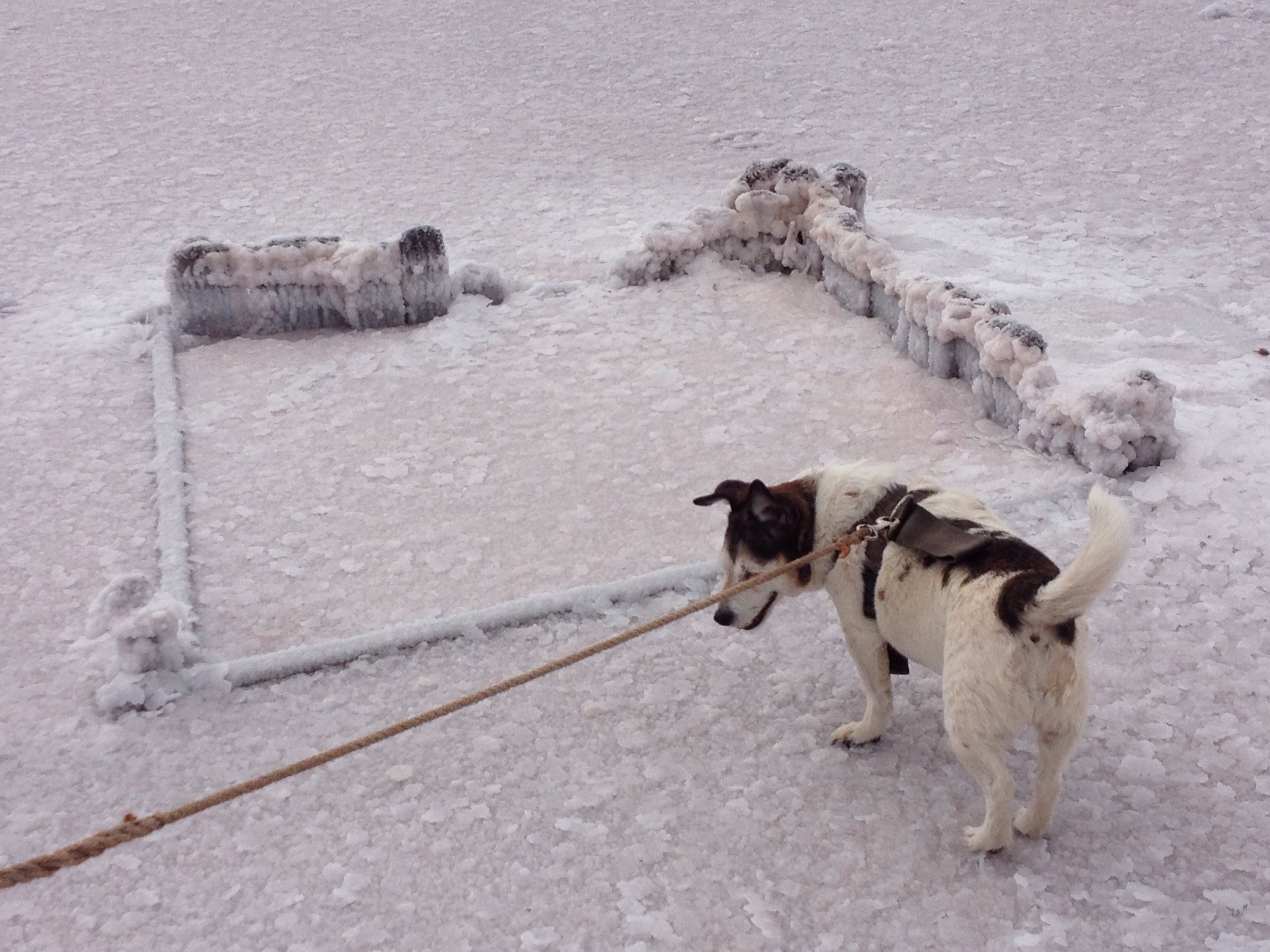 Cindy checking out what's left of the turntable