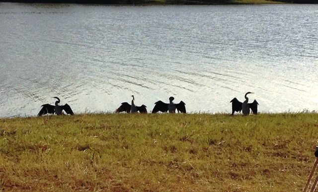 Longreach Waterhole, Northern Territory