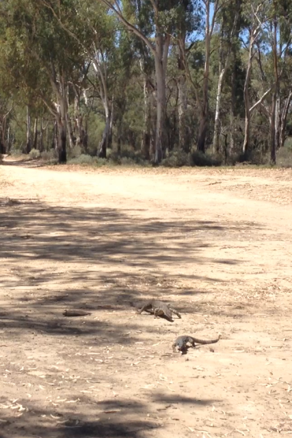 IMG_6204Abbotsford Bend