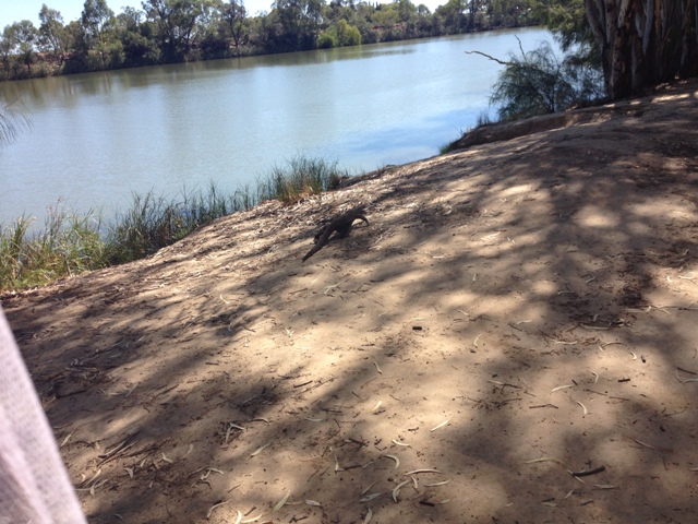 IMG_6209Abbotsford Bend