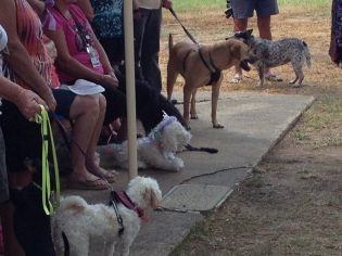 Solos Rally, Forbes New South Wales