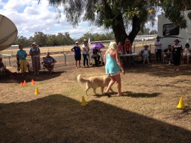 Solos Rally, Forbes New South Wales