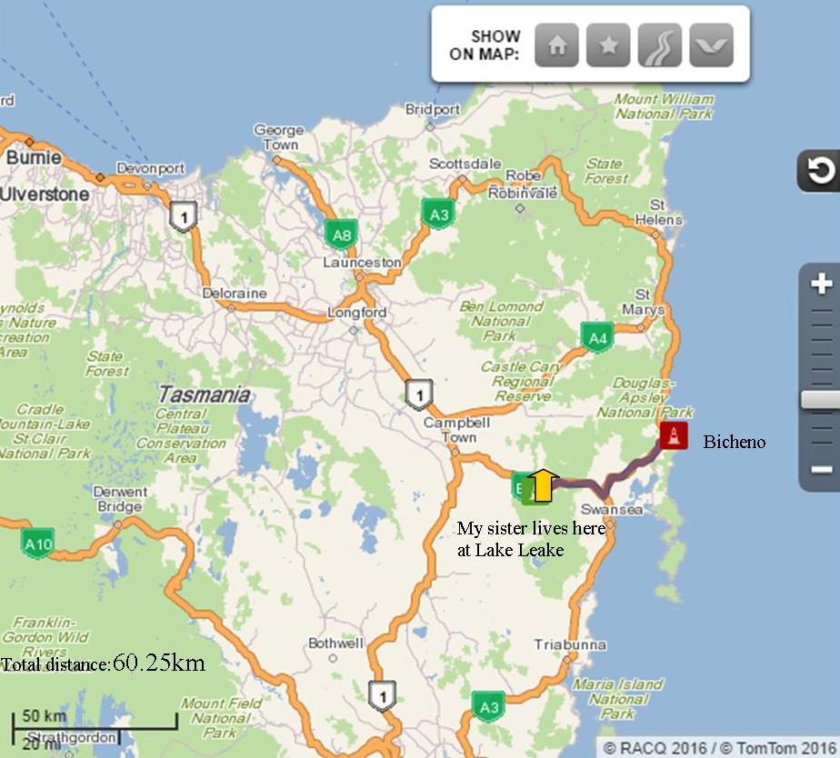 Bicheno map