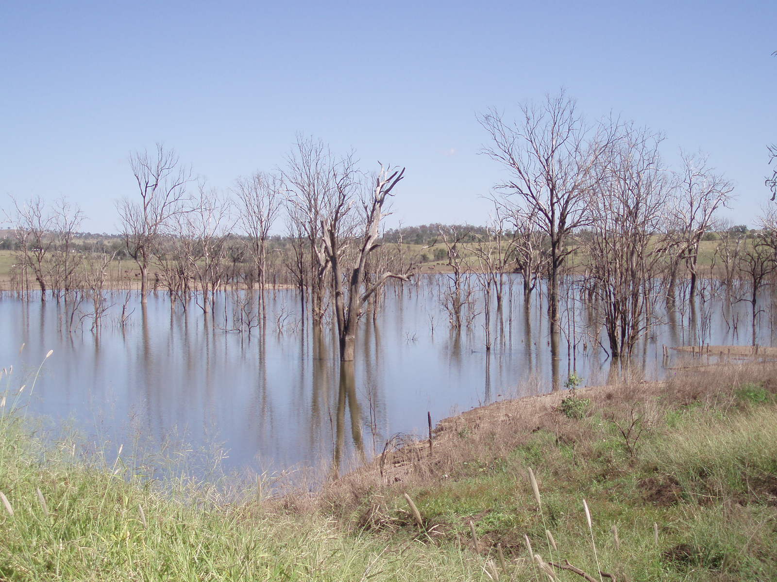 Bin Bin Creek, Queensland