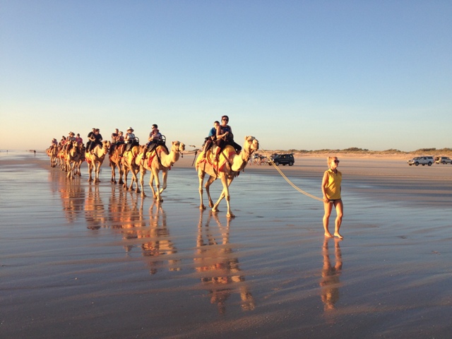 Camels at Cable Beach, Broome