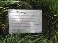 IMG_7910Yungaburra Ave of Honour