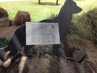 IMG_7911Yungaburra Ave of Honour