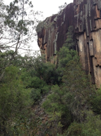Sawn Rocks, Bingera NSW