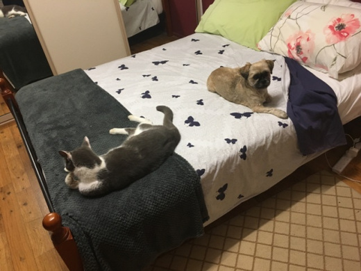 IMG_8178 Lily & Lucy