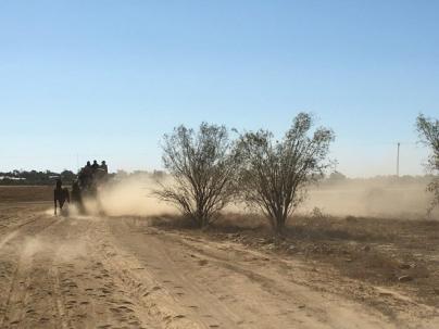 Outback Pioneers Cobb & Co Coach Ride