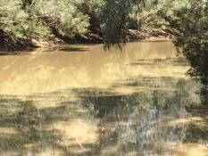 Barcoo River, Isisford