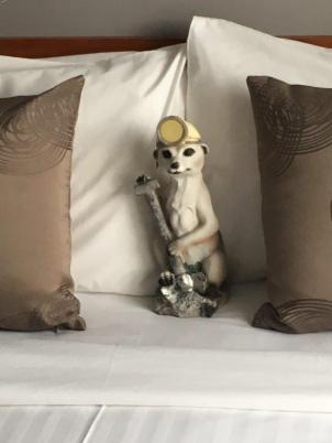 Monsieur Meerkat in Bordertown, South Australia