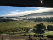 View from my bedroom window